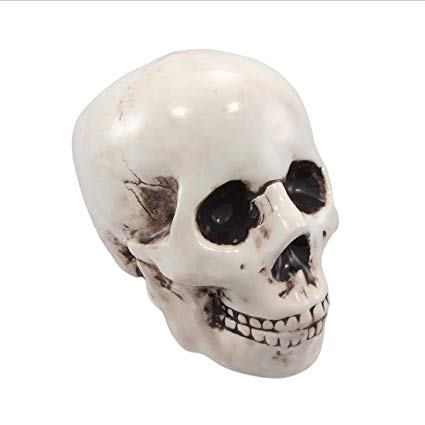 PTC Pacific Giftware Skull Skeleton Savings Piggy/Coin/Money Bank, 6