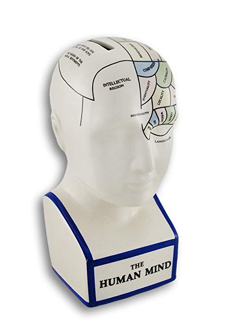 Zeckos Ceramic Toy Banks Phrenology Head With Colored Map Ceramic Coin Bank 3.5 X 7.5 X 4.25 Inches Multicolored