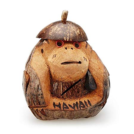 Hawaii Coconut Monkey Bank 6